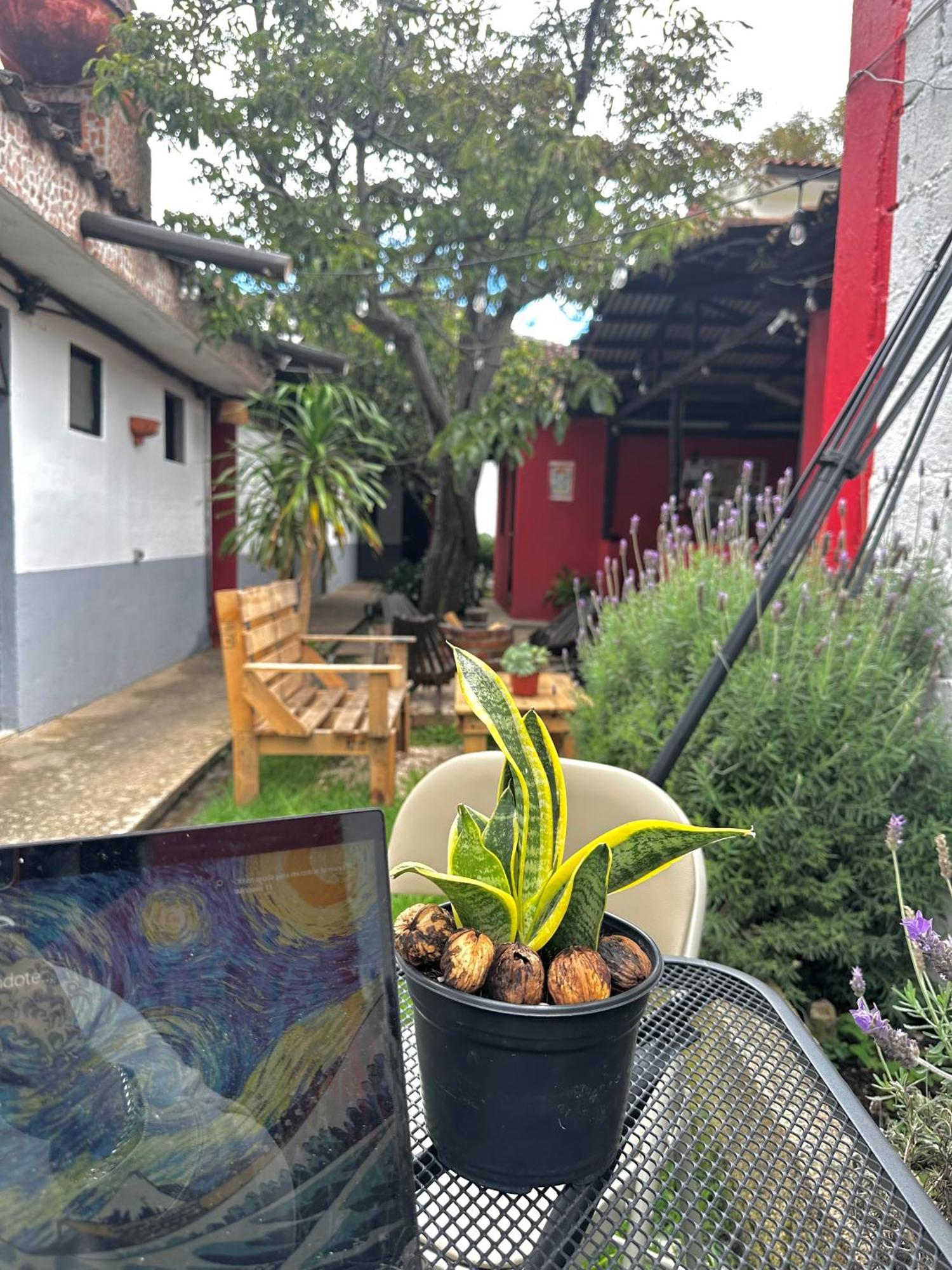 Berlin61 Hostal San Cristóbal de Las Casas Buitenkant foto